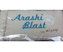 嵐 ARASHI 「BLAST in Miyagi 宮城」 コンサート 2015 公式グッズ メガネケース ☆ 先行発売グッズ