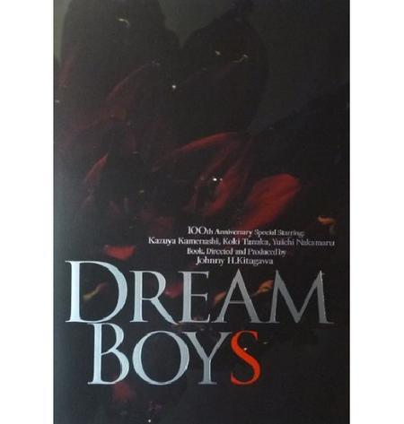 【中古】Kat-tun パンフレット ★ 亀梨和也・田中聖・中丸雄一ほか 2011 舞台 「DREAM BOYS」