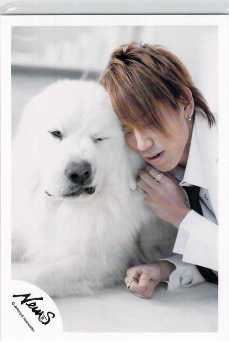 NEWS・【公式写真】・小山慶一郎・・ジャニショ♡ （ko）