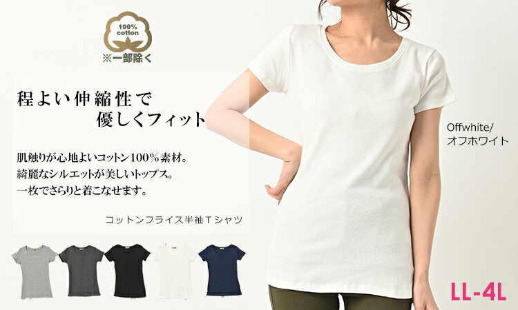 メール便対応 大きいサイズ レディース Tシャツ 半袖 Uネック インナー トップス カットソー cotton100 LL/3L/4L 部屋着 ムールウェア ゆったりサイズ ぽっちゃり女子 プラスサイズ 2