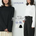 メール便対応 大きいサイズ レディース カットソー 長袖 メロープチハイネック Tシャツ トップス LL/3L/4L/5L ゆったりサイズ ぽっちゃり女子 プラ...