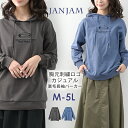 大きいサイズ レディース プルオーバーパーカー 長袖 フーディー 刺繍ロゴ 裏毛 トップス SWT M/LL/3L/4L/5L ゆったりサイズ ぽっちゃり女子 ...