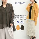 【メール便送料無料】大きいサイズ レディース シアーワッシャーシャツ 長袖 透け感 前開きボタン バックテール トップス sheer M/LL/3L/4L/5L ゆったりサイズ ぽっちゃり女子 プラスサイズ