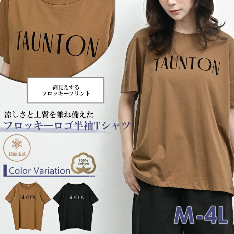 サンプル画像2