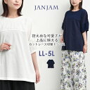 メール便対応 大きいサイズ レディース レース切替カットソー 5分袖 リブ Uネック 切り替え トップス sheer LL/3L/4L/5L ゆったりサイズ ぽっちゃり女子 プラスサイズ