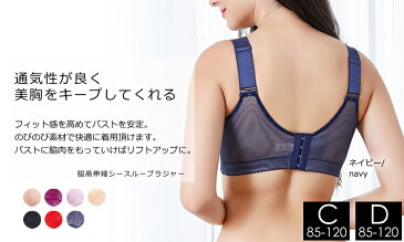 【送料無料※沖縄/北海道対象外】大きいサイズ レディース インナー ブラジャー 下着 谷間シースルー フルカップ Vライン チャーム レース シースルー ナイトブラ U85〜120 Cカップ対応 Dカップ対応 ゆったりサイズ ぽっちゃり女子 プラスサイズ