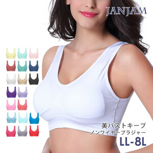 【メール便送料無料】大きいサイズ レディース スポーツブラ インナー ブラジャー 下着 カラバリ豊富 ストレッチ ナイトブラ LL 3L 4L 5L 6L 7L 8L ゆったりサイズ ぽっちゃり女子 プラスサイズ