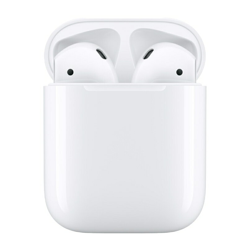 Apple AirPods（第2世代） Lightning充電ケース MV7N2J/A保証期間1週間