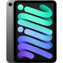 【未使用】Apple 【Wi-Fi】 iPad mini(A17Pro/2024) 128GB スペースグレイ MXN63J/A【道玄坂】保証期間6ヶ月(2)
