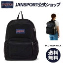 ジャンスポーツ リュック 【公式】JANSPORT リュック ジャンスポーツ ECO MESH PACK - BLACK - JS0A4QW3008 エコメッシュパック メッシュ ジャンスポ ブラック 黒 リュックサック バックパック メンズ レディース ブランド 通学 通勤 旅行 女子 男子 軽量 高校生