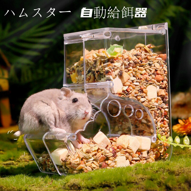 ハムスター用の自動餌やり器！安くて人気な小動物用自動餌やり機のおすすめを教えて！