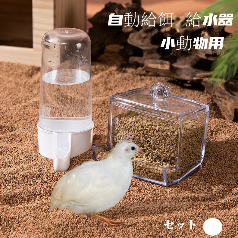 鳥 給餌器 自動餌入れ 水入れ 自動給水器 自動給餌器 鳥 小動物 ペット用 両用 セット 容器 プラスチック ペットボトル 水入れ容器 餌入れ容器 耐久性