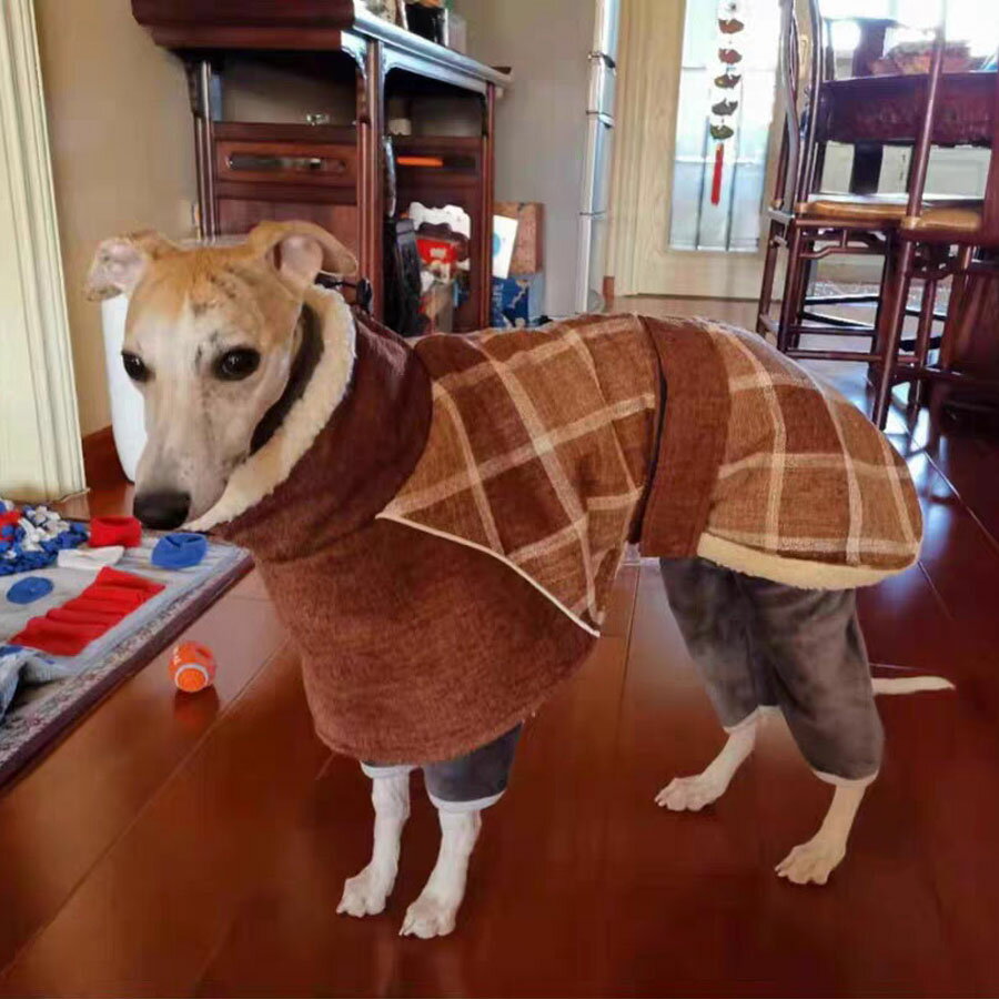 イタグレ 犬 服 秋冬 暖かい 防寒 チェック柄オーバーコート 中型犬 大型犬 イタリアングレーハウンド