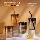 コーヒーボトル 450ml ウォーターボトル ガラス瓶 飲み口 水筒 ガラスボトル クリアボトル 2way 直飲み?ストロー 耐熱 ストロー付 蓋付き カップカ...
