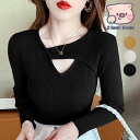 ニットTシャツ Vネック トップス 長袖