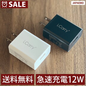 i.Carry 12W対応 急速充電器 2.4A ACアダプター iPad スマートIC タブレット 本体180日保証 USB-AC アダプタ USB 充電器 チャージャー PSE認証 コンセント アンドロイド スマホ iphone android　DMメール便限定