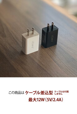 i.Carry 12W対応 急速充電器 2.4A ACアダプター iPad スマートIC タブレット 本体1年保証 USB-AC アダプタ USB 充電器 チャージャー PSE認証 コンセント アンドロイド スマホ iphone android