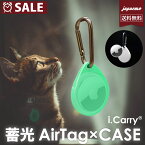 蓄光 AirTag 対応 シリコン カラビナ付き キーリング 子供 お年寄り 介護 用 犬 猫 ペット 家族 エアタグホルダー エアタグケース 洗える エアタグ 脱走防止 メタリック カラー 透明 愛犬 愛猫 父 母 【 メール便 全国 送料無料 】DM