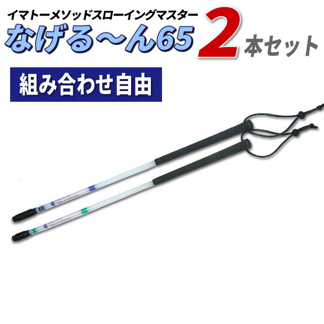 【正規品・正規販売代理店】イマトーメソッドスローイングマスター なげる〜ん65 2本セット【クロネコDM便不可】