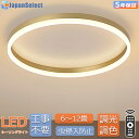 シーリングライト おしゃれ LED照明 リング型 北欧 モダン 調光調色 リモコン付き 6畳 10畳 球体付き 設置簡単 工事不要 天井照明 照明器具 洋室 和室 リビング