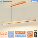 ペンダントライト 照明器具 おしゃれ 北欧 レール 吊り下げライト シーリング用 電気 8畳 10畳 14畳LED ダイニング キッチン 天井照明 電球色 昼光色 食卓 寝室 リモコン 省エネ 和室 洋室 ダイニング 食卓 引掛け対応