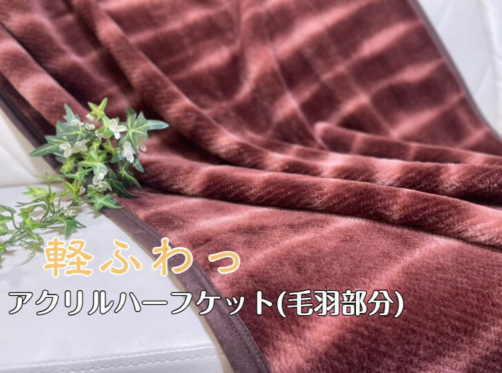 7枚限定販売！！当店貴重な柄毛布ア...