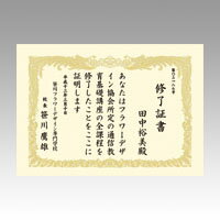ササガワ　OA賞状用紙　クリーム　A4判縦　10-1067【返品・交換・キャンセル不可】【イージャパンモール】