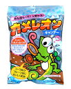 キッコー製菓 カメレオンキャンディ 70g【イージャパンモー...