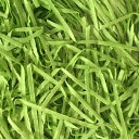 紙パッキン 1kg グリーン 6袋(6袋)【イージャパンモール】