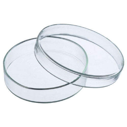 ペトリ皿（シャーレ焼口φ40×12mm）【返品・交換・キャンセル不可】【イージャパンモール】