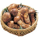 【送料無料】松茸 8?9本650g【代引不可】【ギフト館】