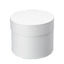 サークルBOX 150?123 ホワイト 44個(44個)【イージャパンモール】