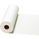 【送料無料】【個人宅届け不可】【法人(会社・企業)様限定】晒クラフト 白 450mm×200m 1巻