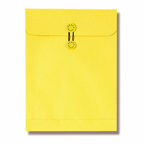 【送料無料】【個人宅届け不可】【法人（会社・企業）様限定】マチ・ヒモ付保存袋　カーデックス　角2..