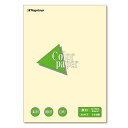 【送料無料】【個人宅届け不可】【法人(会社・企業)様限定】Color Paper A4 厚口 レモン 1冊(100枚)