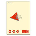 【送料無料】【個人宅届け不可】【法人(会社・企業)様限定】Color Paper A3 特厚口 レモン 1冊(100枚)