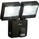 【送料無料】【個人宅届け不可】【法人(会社・企業)様限定】LEDセンサーライト (乾電池式 2灯2W) 1台