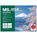 【送料無料】【個人宅届け不可】【法人(会社・企業)様限定】MSパウチフィルム B5 100μ 1パック(100枚)