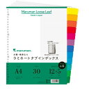 【送料無料】【個人宅届け不可】【法人（会社・企業）様限定】クリアポケット専用 ラミネートタブインデックス A4ワイド 30穴 6色12山+扉紙 1パック(5組)