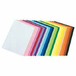 エンジョイカラー8切100枚オレンジ【返品・交換・キャンセル不可】【イージャパンモール】