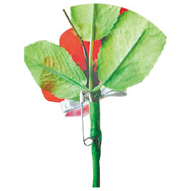 ���������塡�Ĥܤ��դ��Х顡�ۥ磻�ȡ����ʡ��򴹡�����󥻥��Բġۡڥ�������ѥ�⡼���