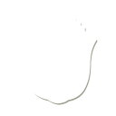 S-4 スプーン袋 無地 チューリップ 1束(500枚)【イージャパンモール】