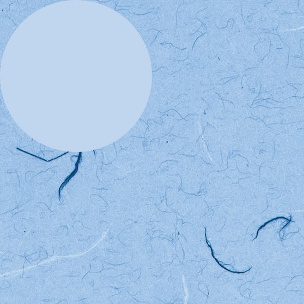 桡Ⱦ͡դӡġ1«100ˡڥѥ⡼