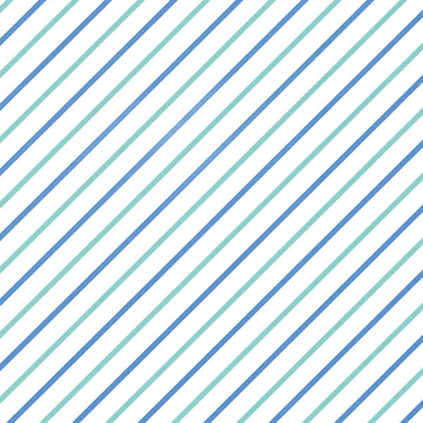 桡Ƚ61BWG1«100ˡڥѥ⡼