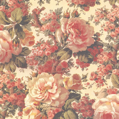 桡Ⱦ͡˥롡1«50ˡڥѥ⡼