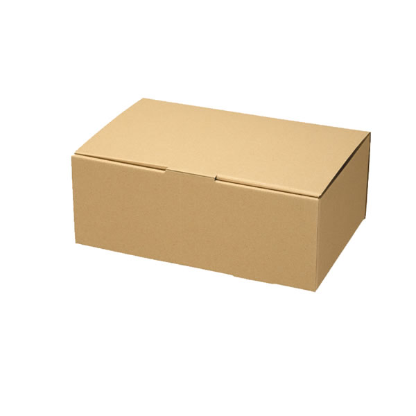 ʥBOXECOZ61«10ˡڥѥ⡼