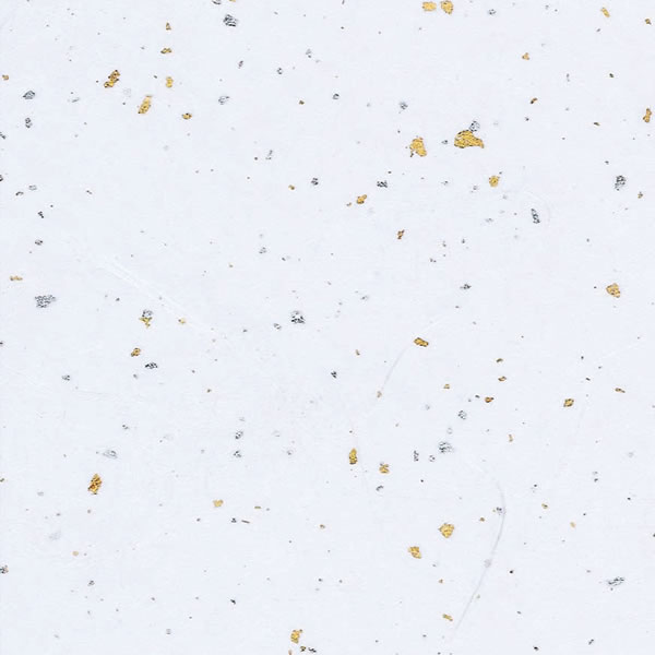 »桡ζ俶5«250ˡڥѥ⡼