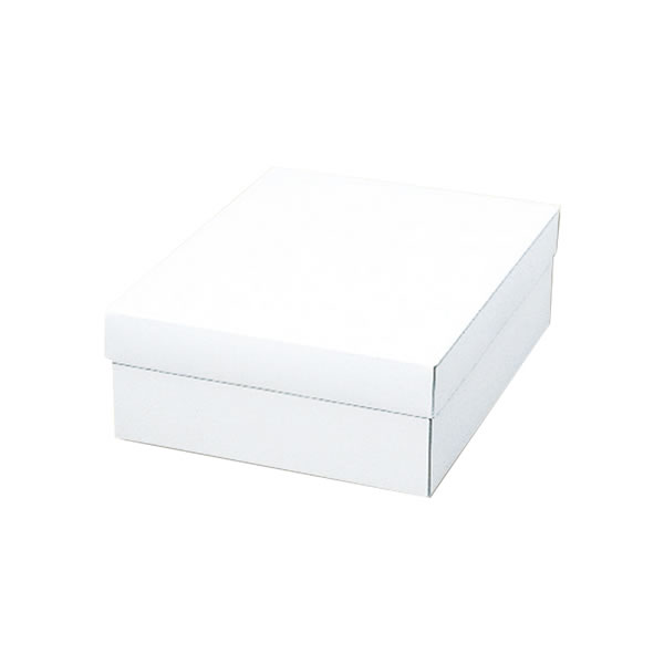 白無地箱 カバン箱 A 5束(50枚)【イージャパンモール】