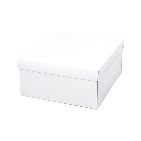 白無地箱 カバン箱 B 5束(50枚)【イージャパンモール】