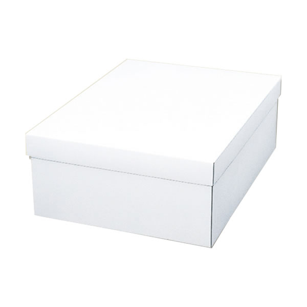 白無地箱 カバン箱 C 5束(50枚)【イージャパンモール】